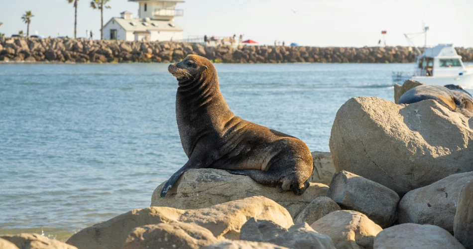 Best 10 Things to Do in Oxnard